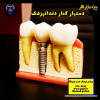 شروع دوره جدید دستیار کنار دندانپزشک در مرکز شماره ۲ فراگیران آزاد